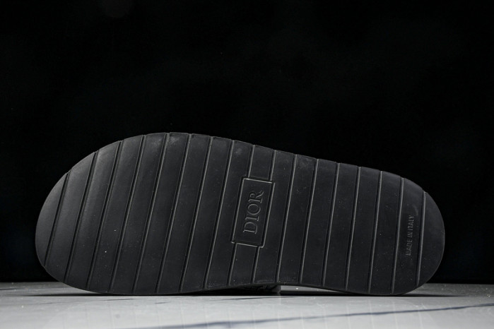 D10r slides ds-059