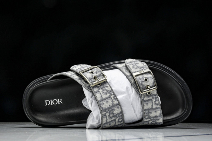 D10r slides ds-059