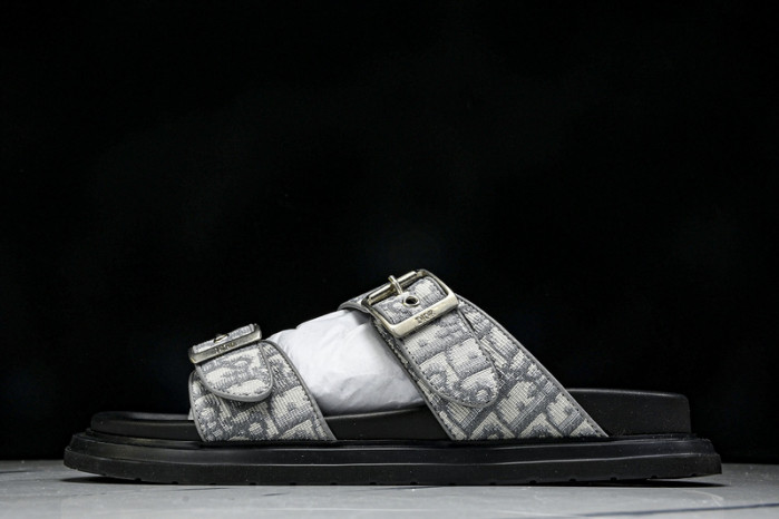 D10r slides ds-059