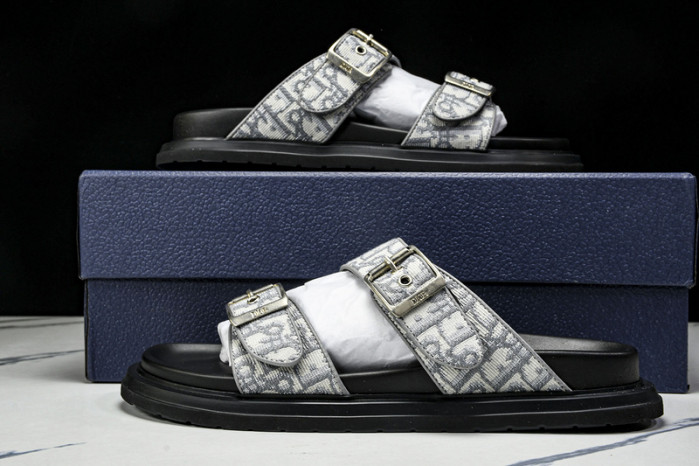 D10r slides ds-059