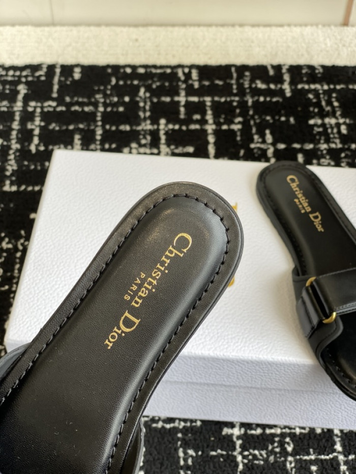 D10r slides ds-082