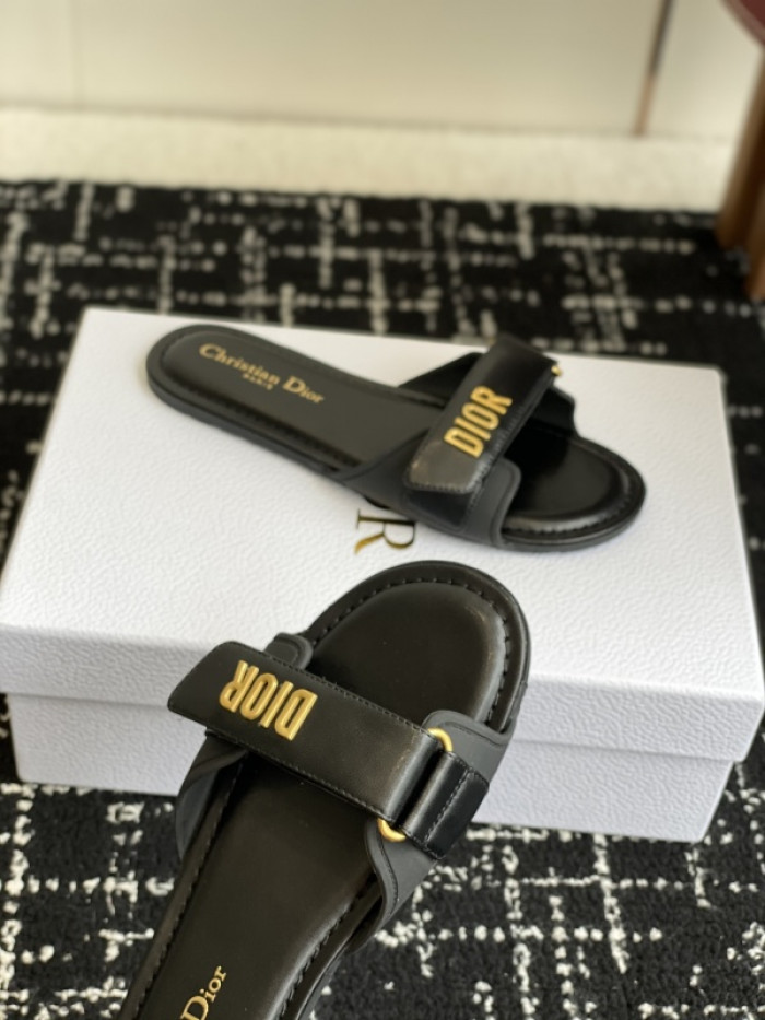 D10r slides ds-082