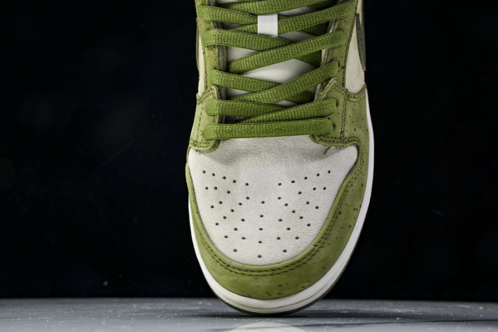 Nike Dunk Low HF8022-300