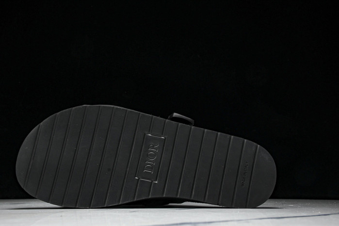 D10r slides ds-065