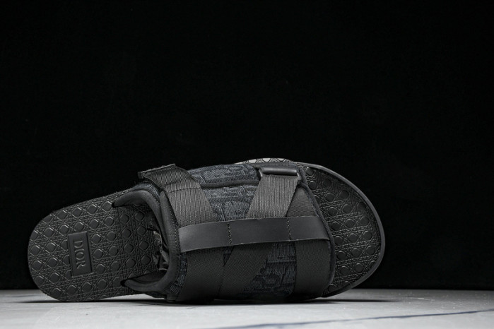 D10r slides ds-065