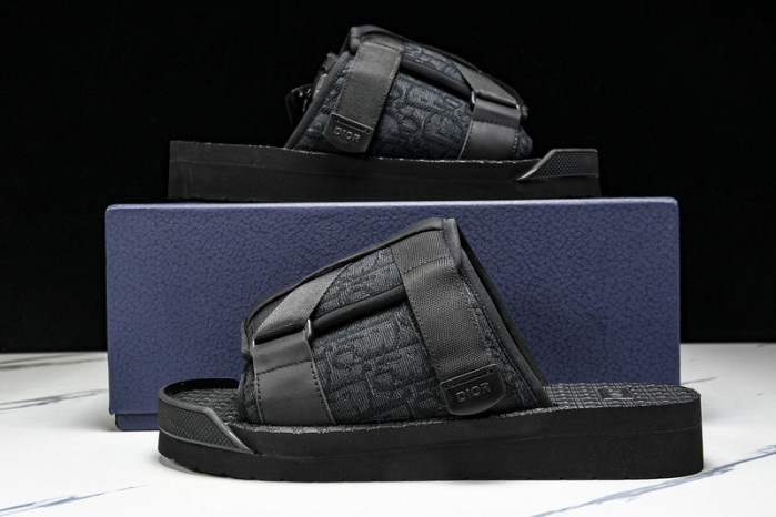 D10r slides ds-065