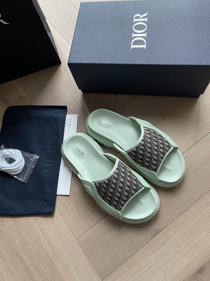 D10r slides ds-046