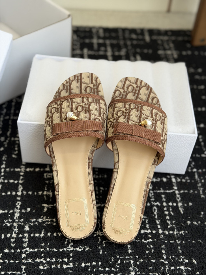 D10r SLIDES DS-0144