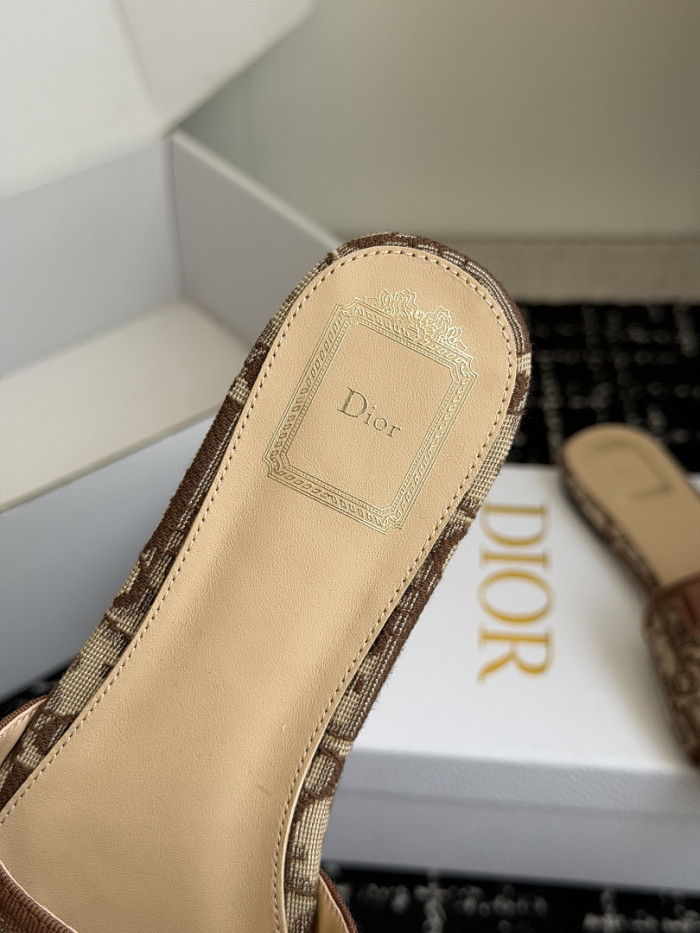 D10r SLIDES DS-0144