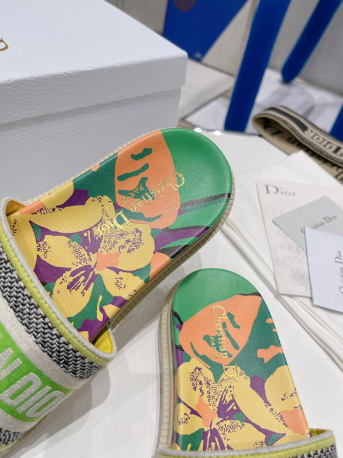D10r slides ds-018
