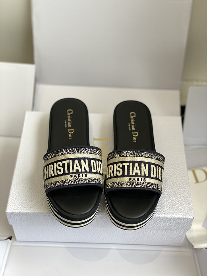D10r slides ds-055