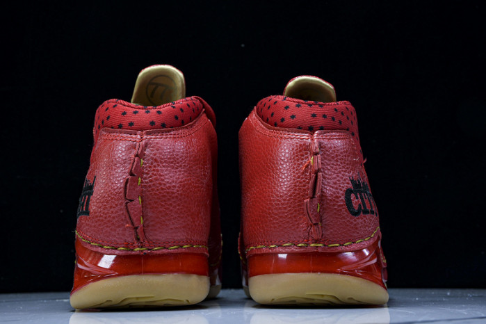Air Jordan 23 