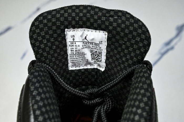 Air Jordan 10 