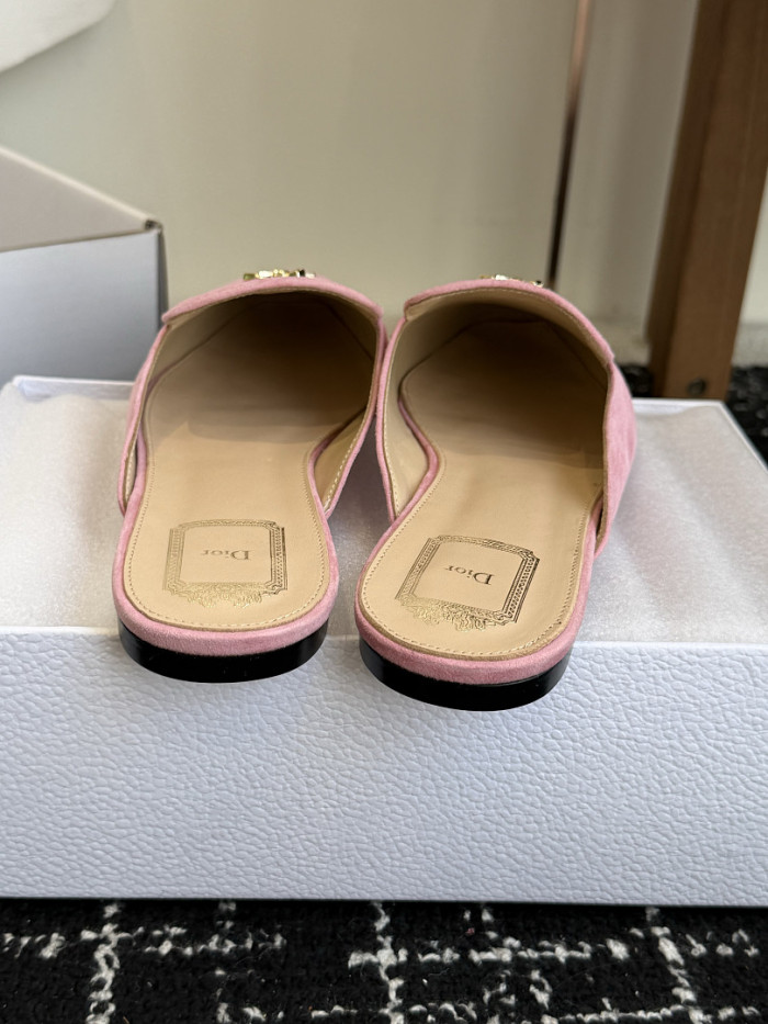 D10r SLIDES DS-0141