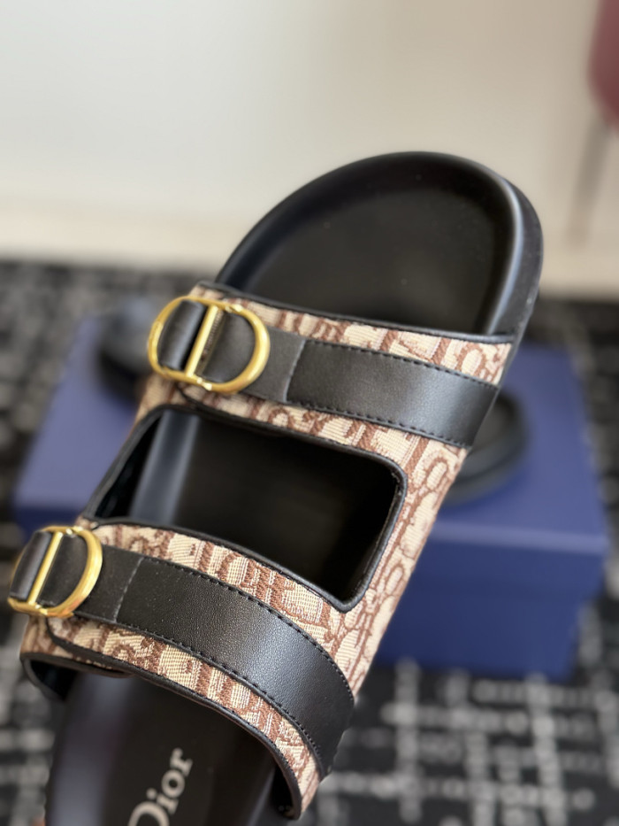 D10r SLIDES DS-0154