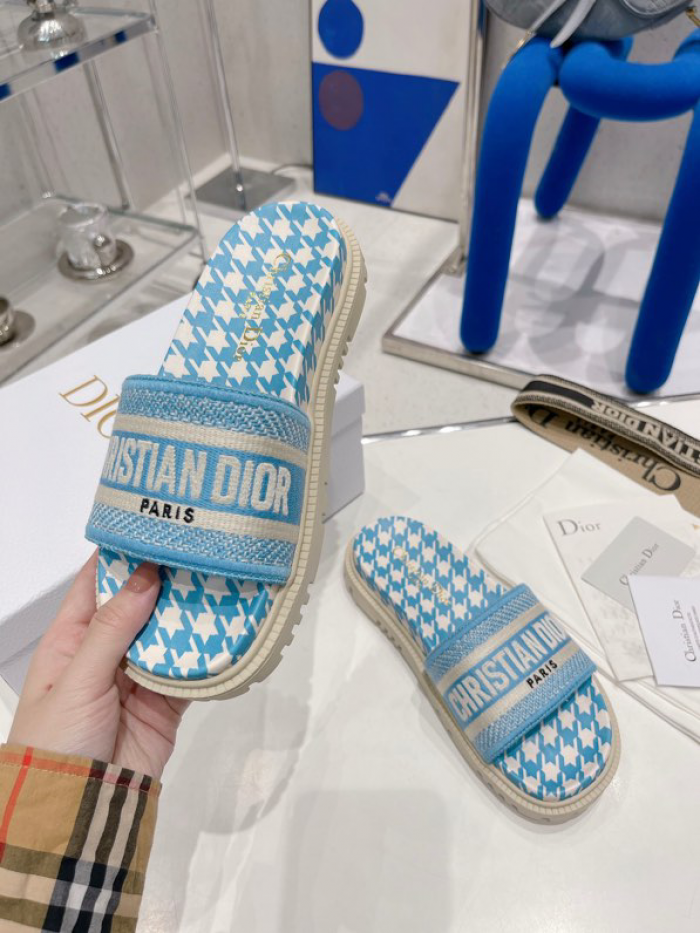 D10r slides ds-019