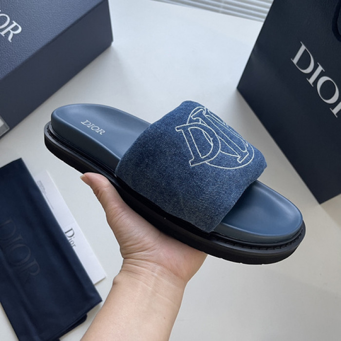 D10r slides ds-044