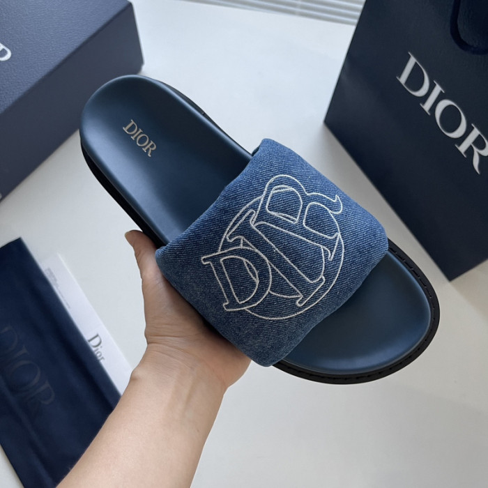 D10r slides ds-044