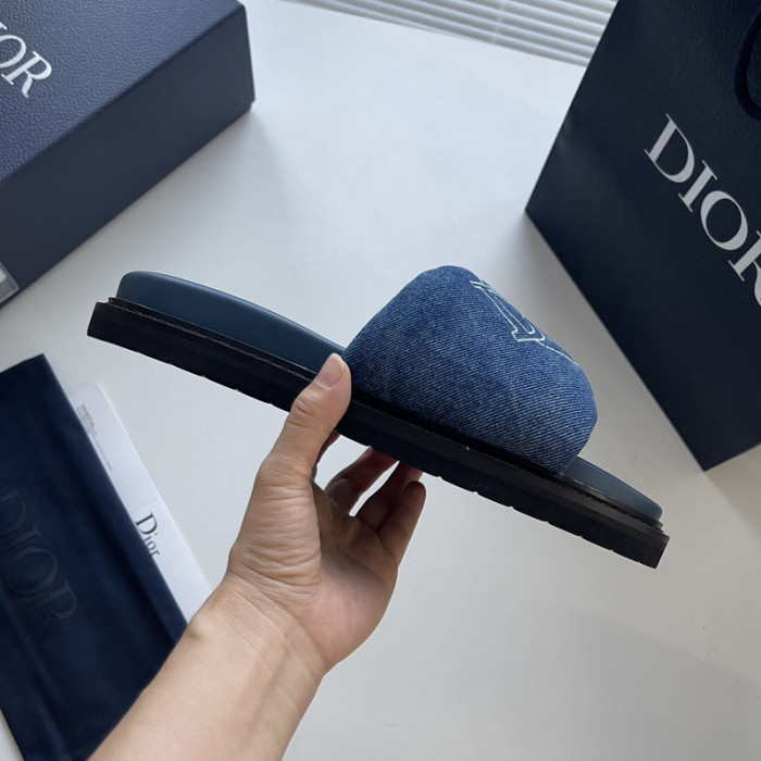 D10r slides ds-044
