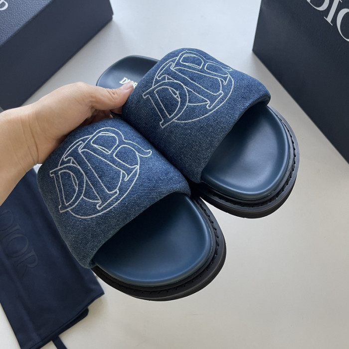 D10r slides ds-044