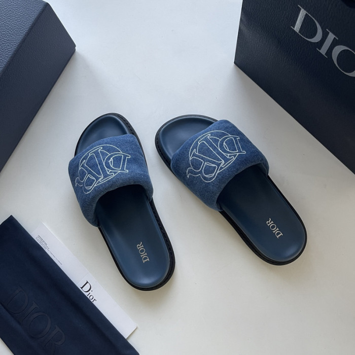 D10r slides ds-044