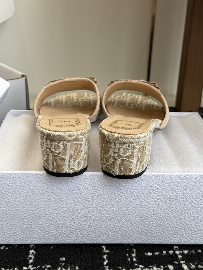 D10r SLIDES DS-0148
