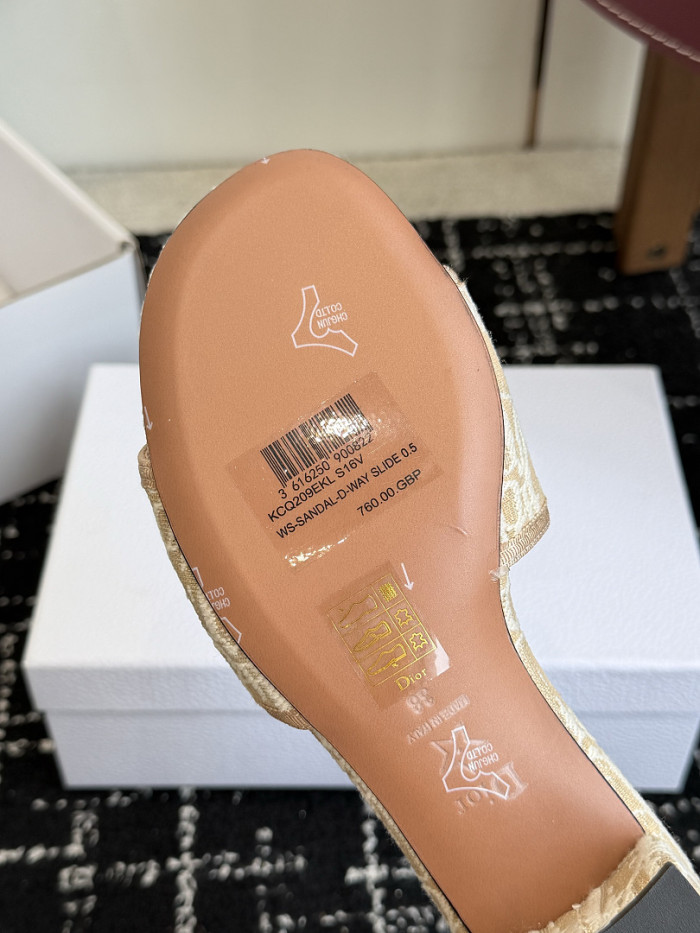 D10r SLIDES DS-0148