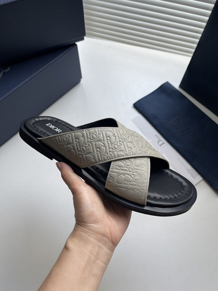 D10r slides ds-048