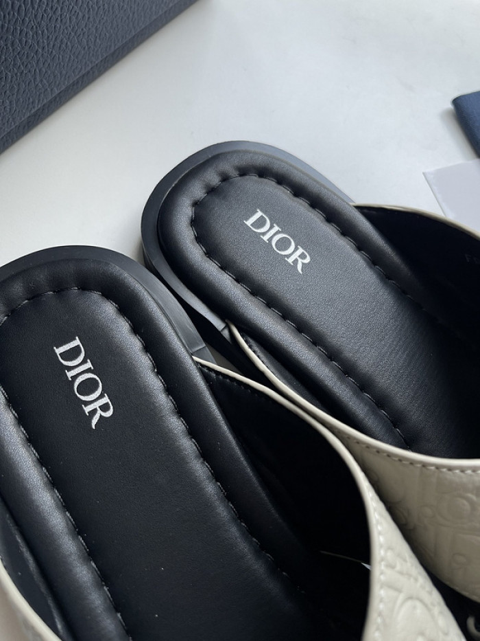 D10r slides ds-048