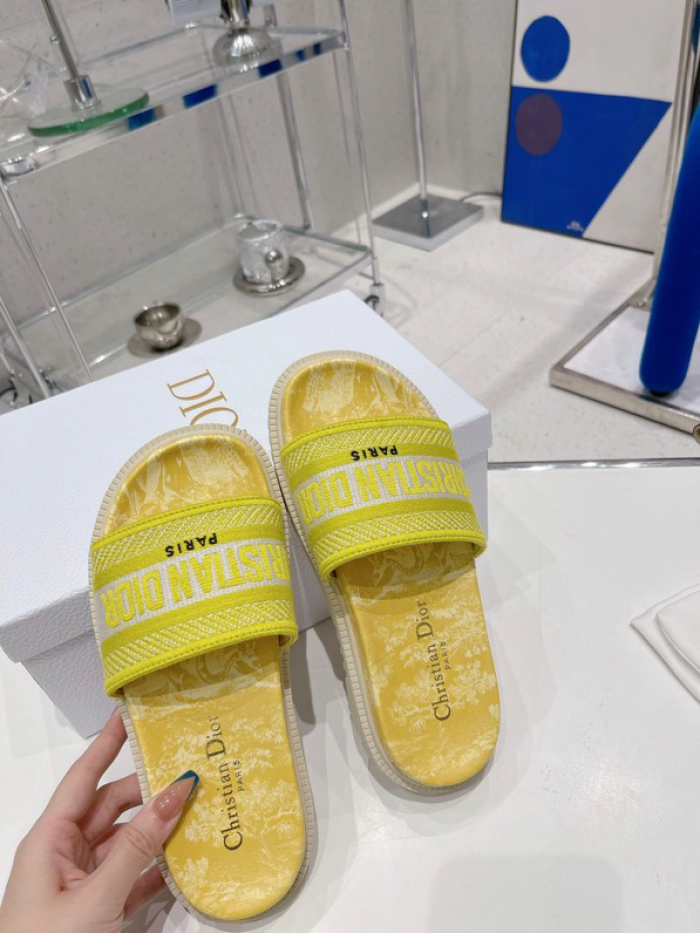 D10r slides ds-014