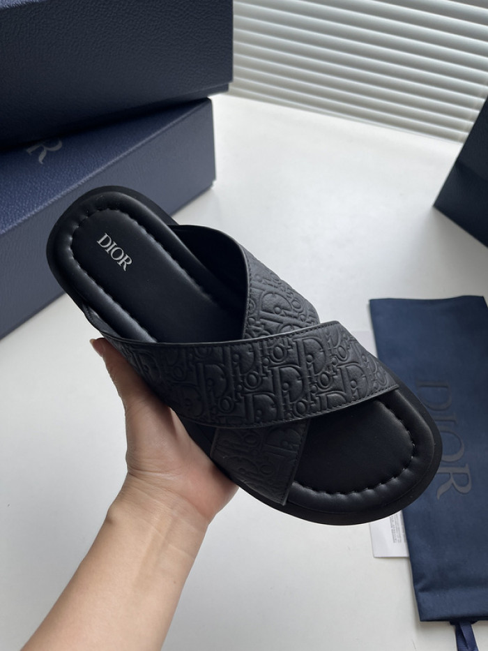 D10r slides ds-049