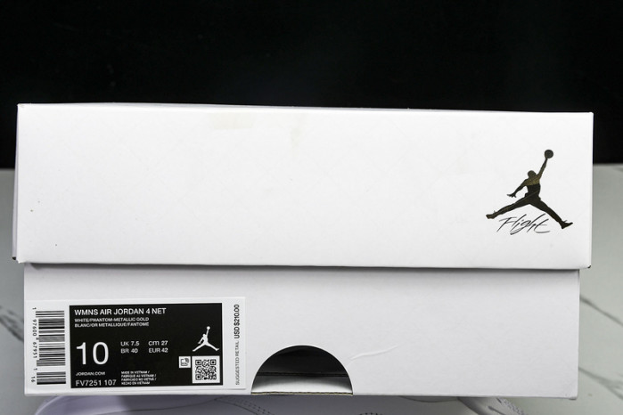 Air Jordan 4 FV7251-107