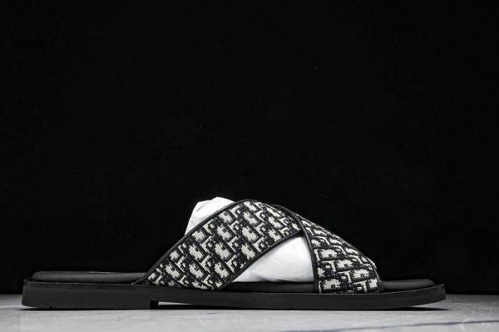 D10r slides ds-061