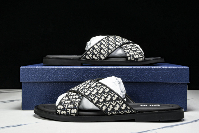 D10r slides ds-061