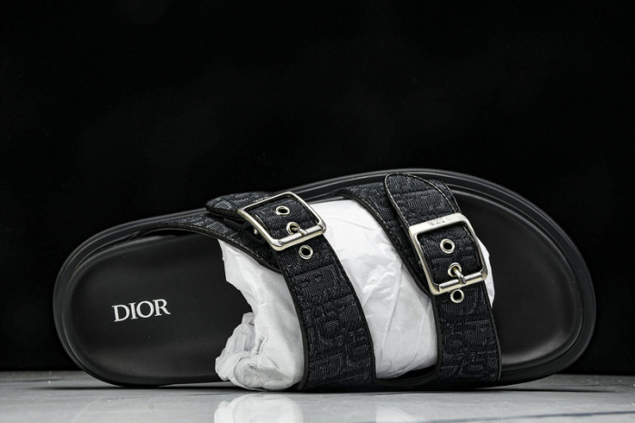 D10r slides ds-058