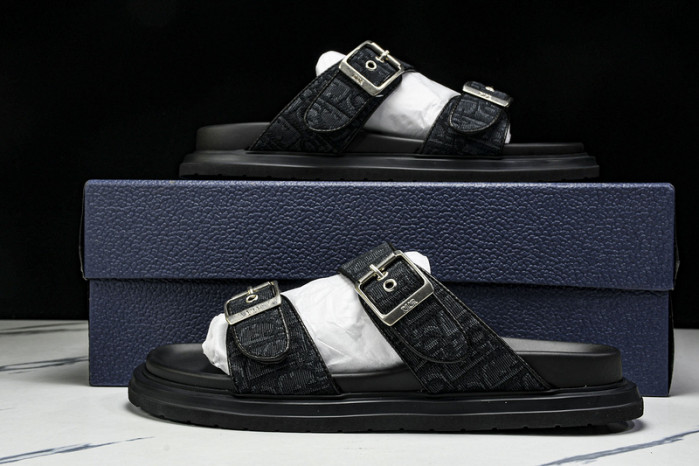 D10r slides ds-058