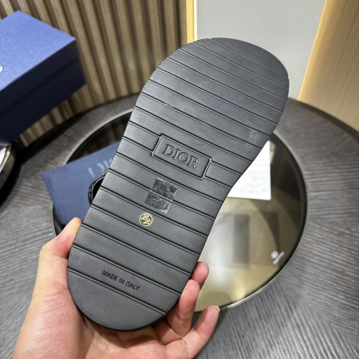 D10r slides ds-071