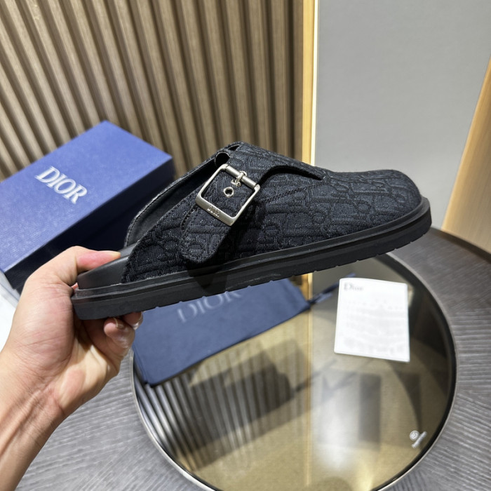 D10r slides ds-071