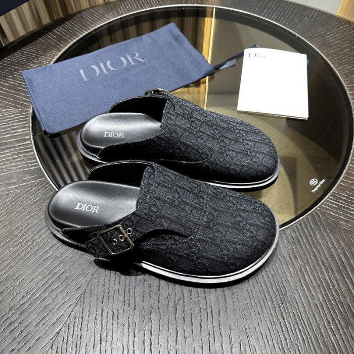 D10r slides ds-071