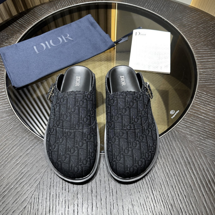 D10r slides ds-071