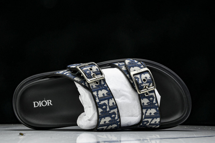 D10r slides ds-057