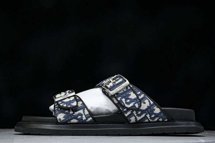 D10r slides ds-057