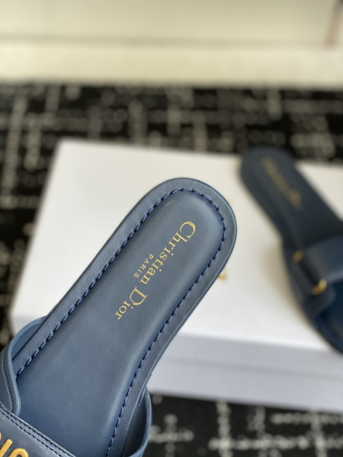 D10r slides ds-084