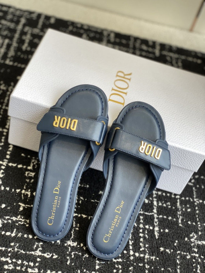D10r slides ds-084