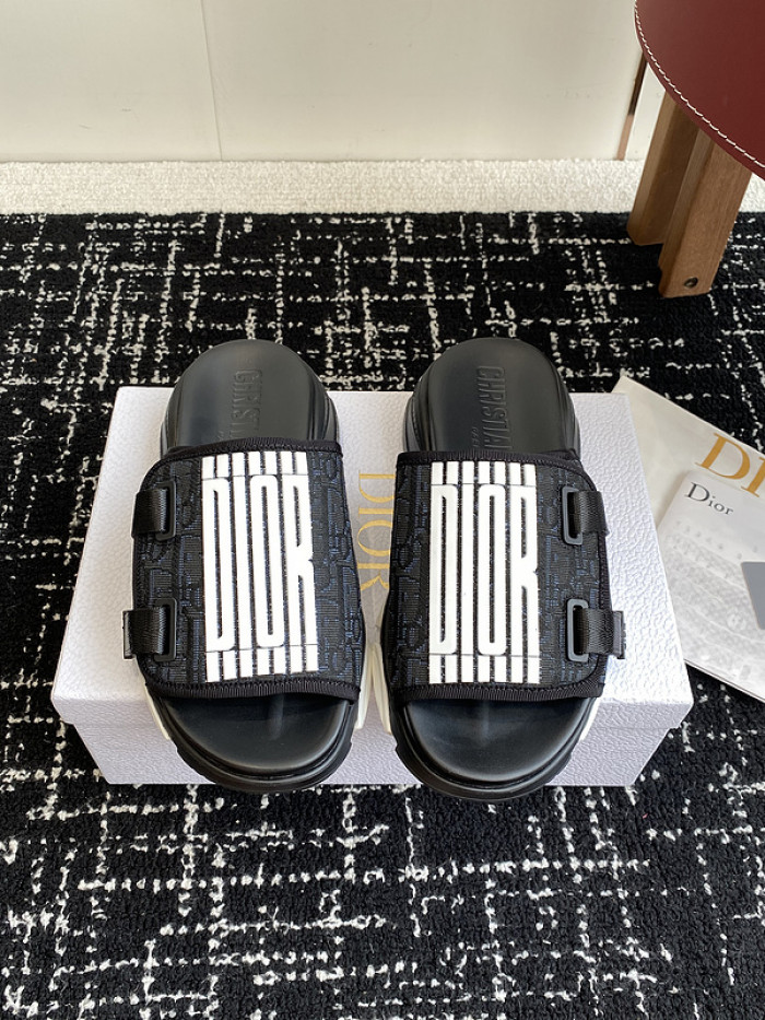 D10r slides ds-067