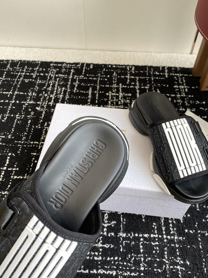 D10r slides ds-067