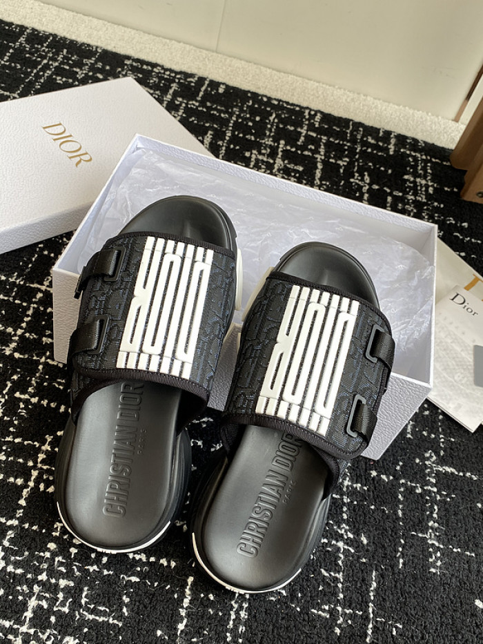 D10r slides ds-067