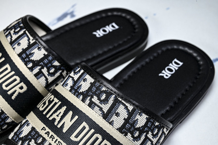D10r SLIDES DS-0100