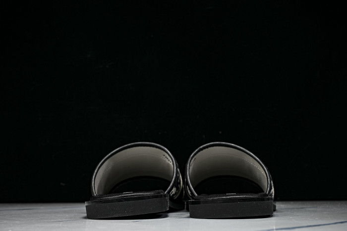 D10r SLIDES DS-0100