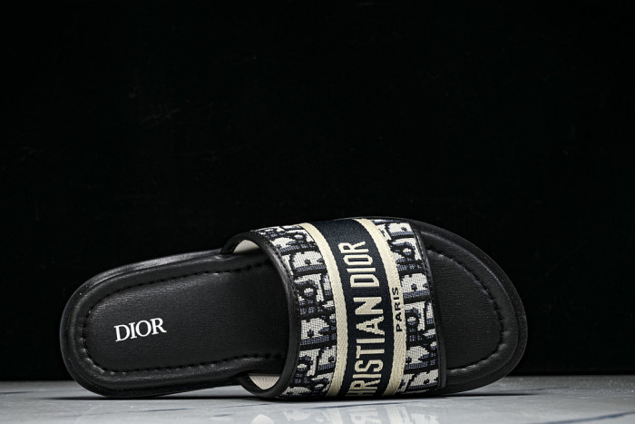 D10r SLIDES DS-0100